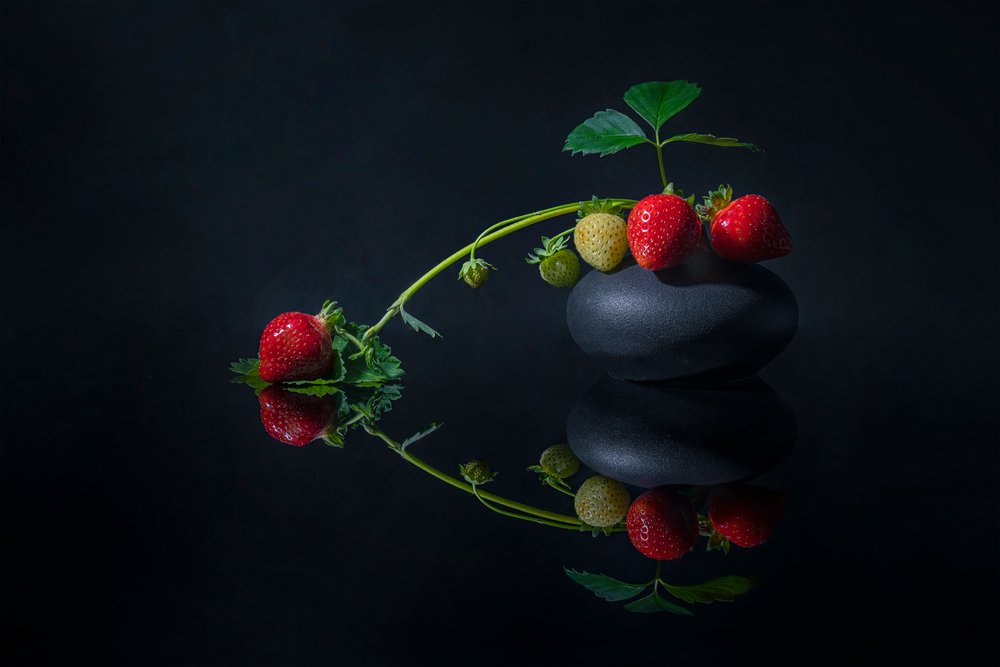Fresas oscuras y elegantes de Lydia Jacobs