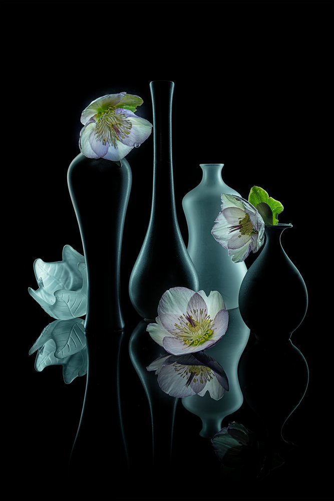 Elegante resplandor floral de Lydia Jacobs