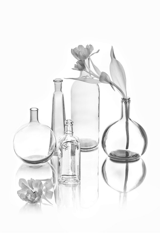 Elegantes tulipanes de cristal de Lydia Jacobs