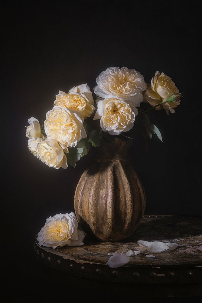 Elegante bodegón de rosas de Lydia Jacobs