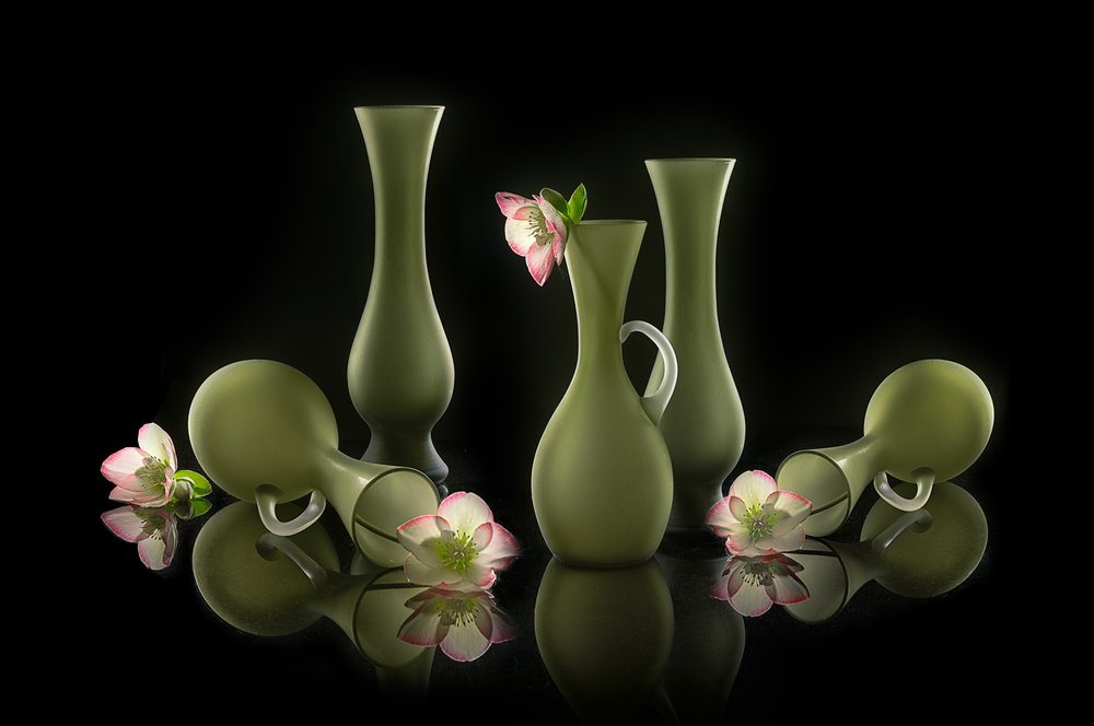 Jarrones elegantes y flores de Lydia Jacobs