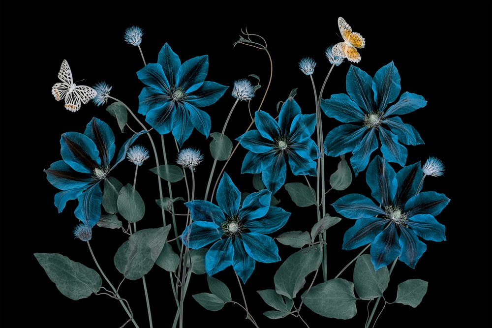 Jardín azul etéreo de Lydia Jacobs