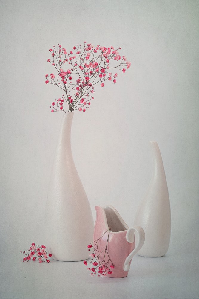 Floral rosa suave de Lydia Jacobs