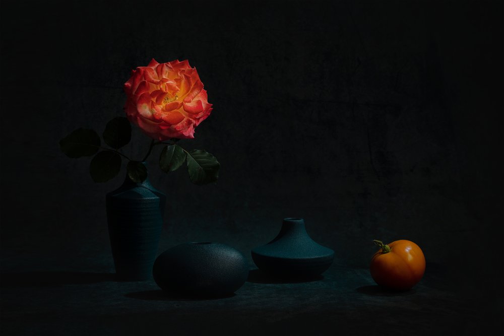 Rosa naranja brillante de Lydia Jacobs