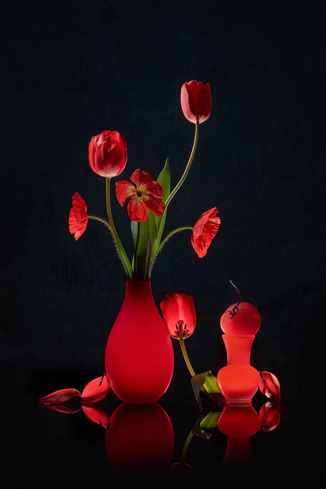 Tulipanes rojos resplandecientes y jarrones de Lydia Jacobs