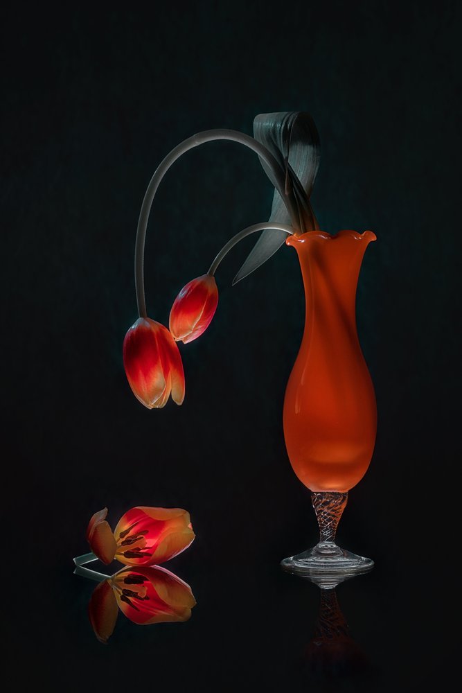 Naturaleza muerta con tulipanes resplandecientes de Lydia Jacobs