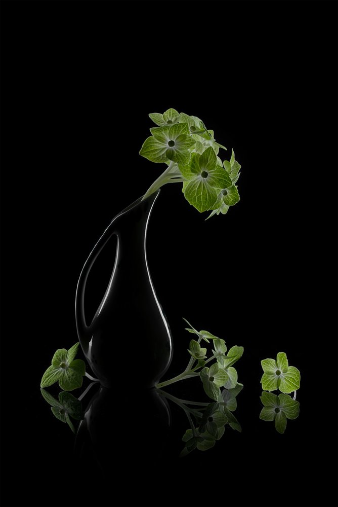 Reflexión sobre las flores verdes de Lydia Jacobs