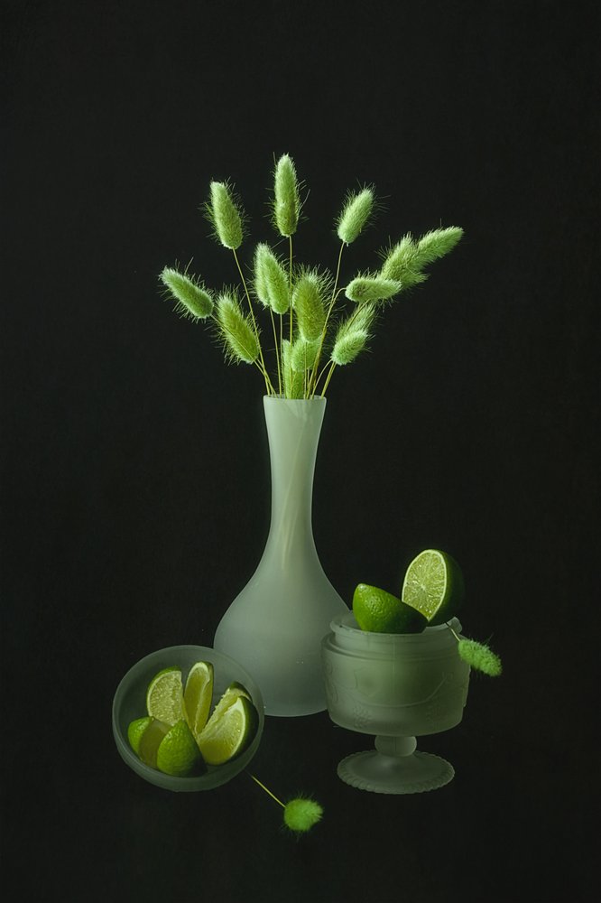 Plantas verdes y limas de Lydia Jacobs