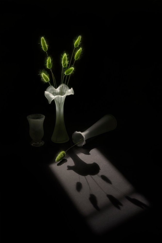 Plantas verdes y la sombra de un pájaro de Lydia Jacobs