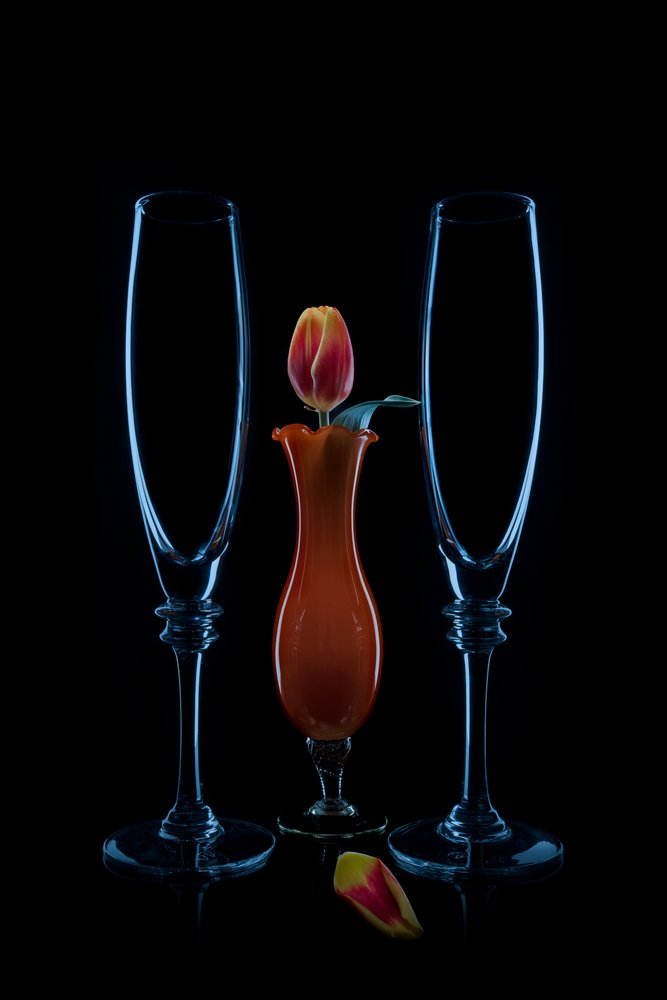Flautas íntimas Tulip de Lydia Jacobs