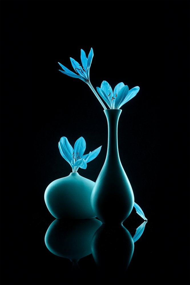 Naturaleza muerta en azul luminoso de Lydia Jacobs