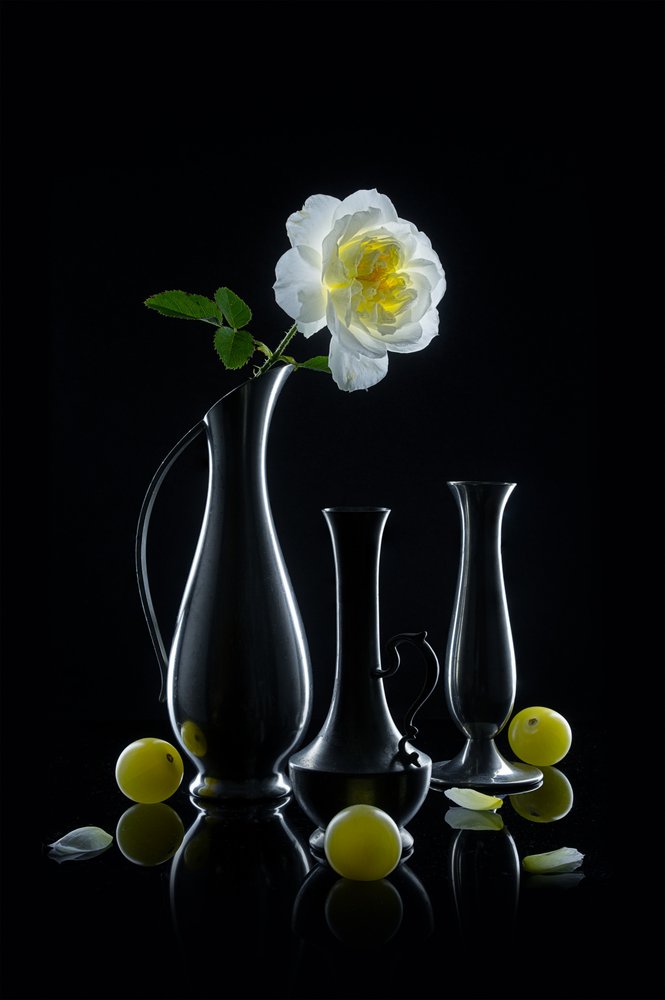 Rosas luminosas y jarrones de Lydia Jacobs