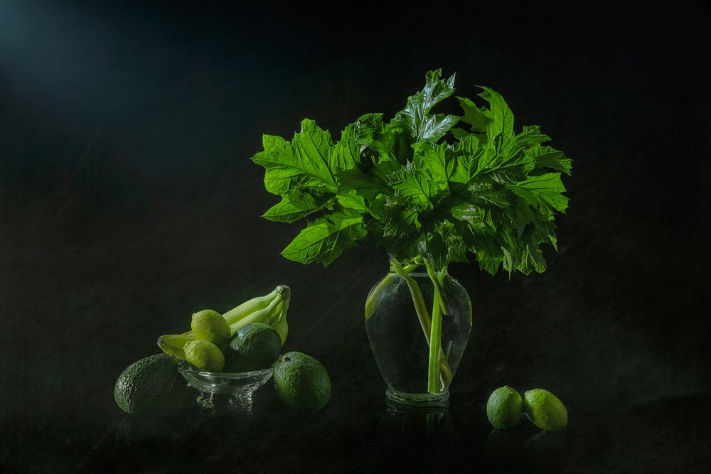 Naturaleza muerta botánica exuberante de Lydia Jacobs