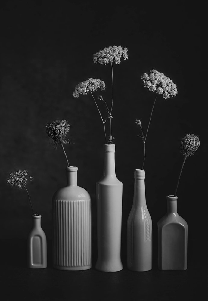 Naturaleza muerta botánica en blanco y negro de Lydia Jacobs