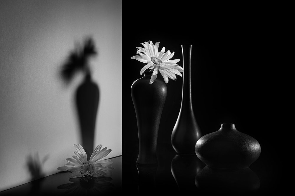Doble motivo floral monocromático de Lydia Jacobs