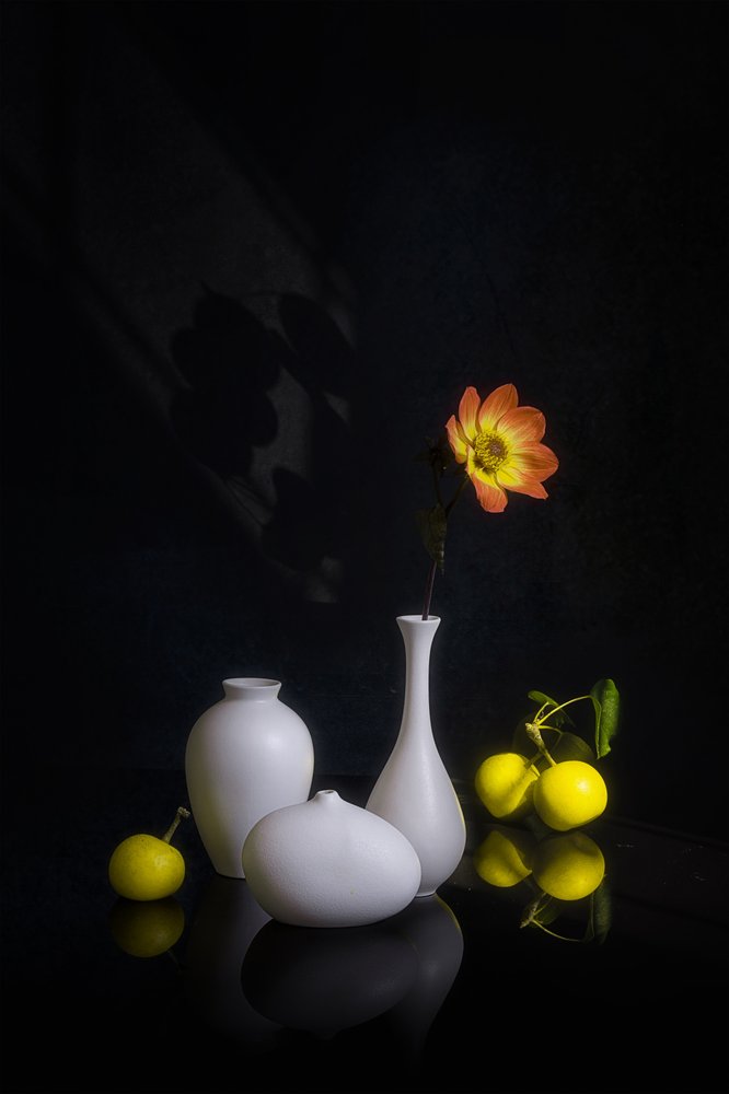 Flores y frutas con un toque melancólico de Lydia Jacobs