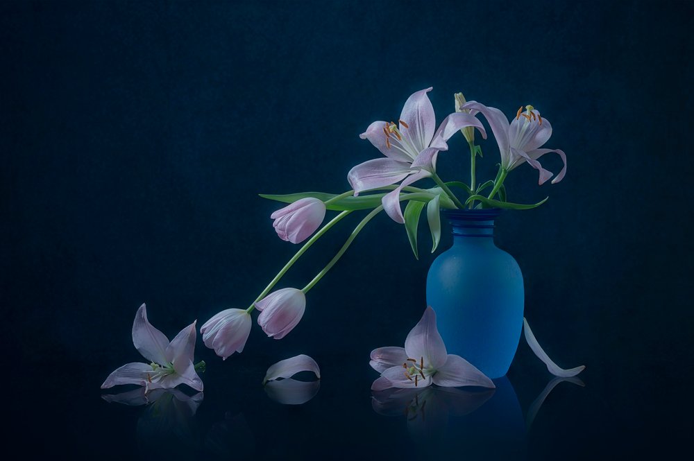Lirios y tulipanes melancólicos de Lydia Jacobs
