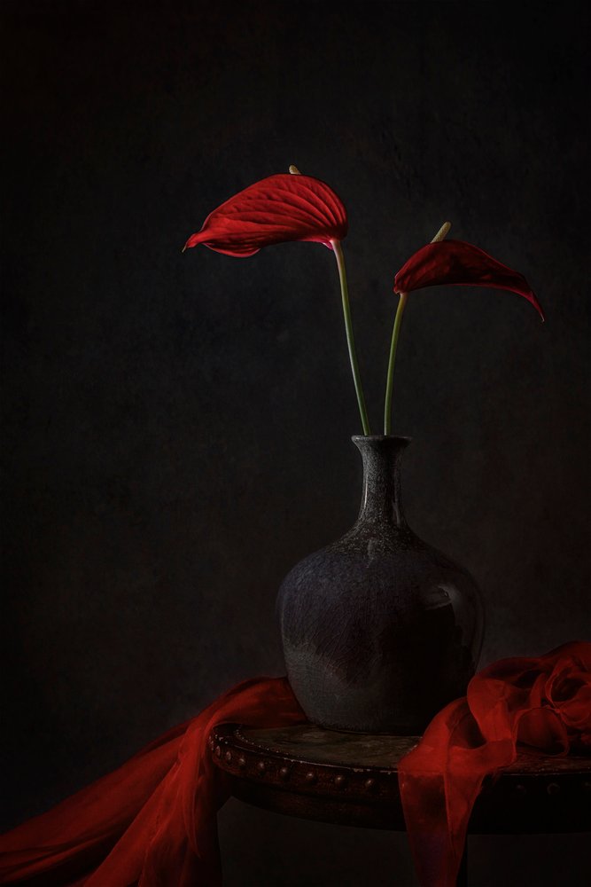 Anturios «Moody Red» de Lydia Jacobs