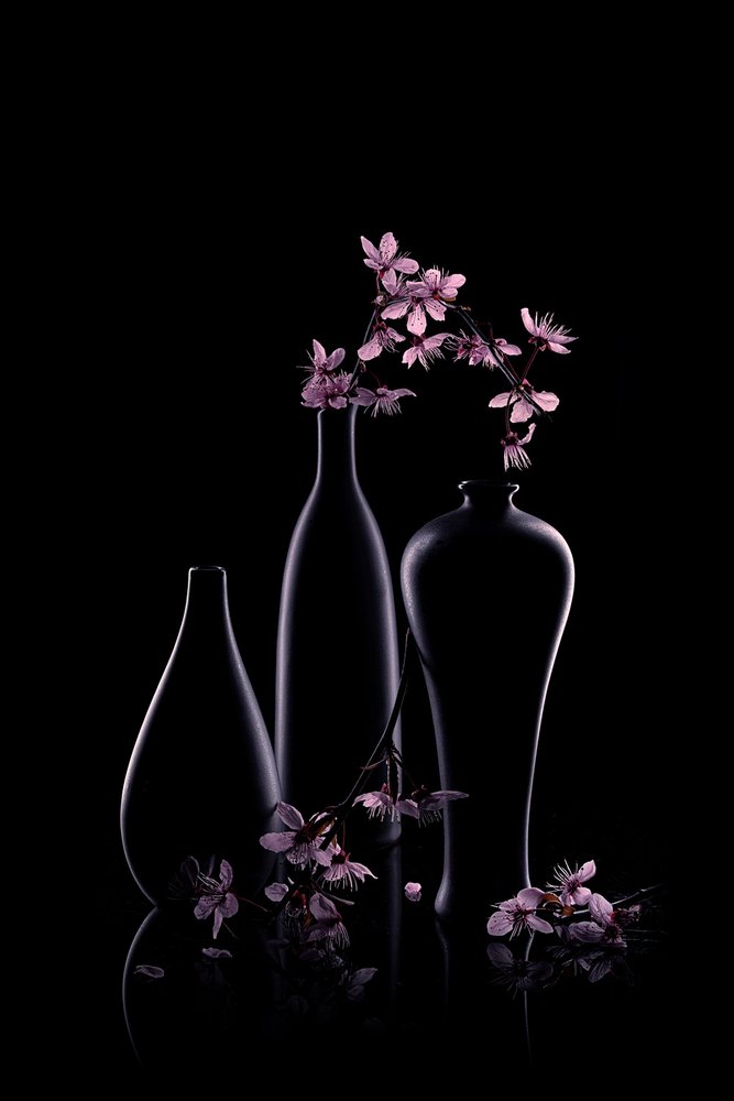 Flores rosas en jarrones oscuros de Lydia Jacobs