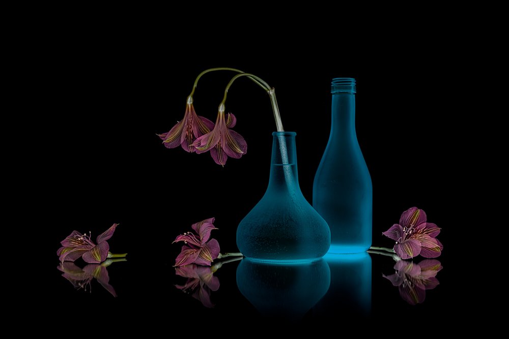 Flores rosas, resplandor azul de Lydia Jacobs