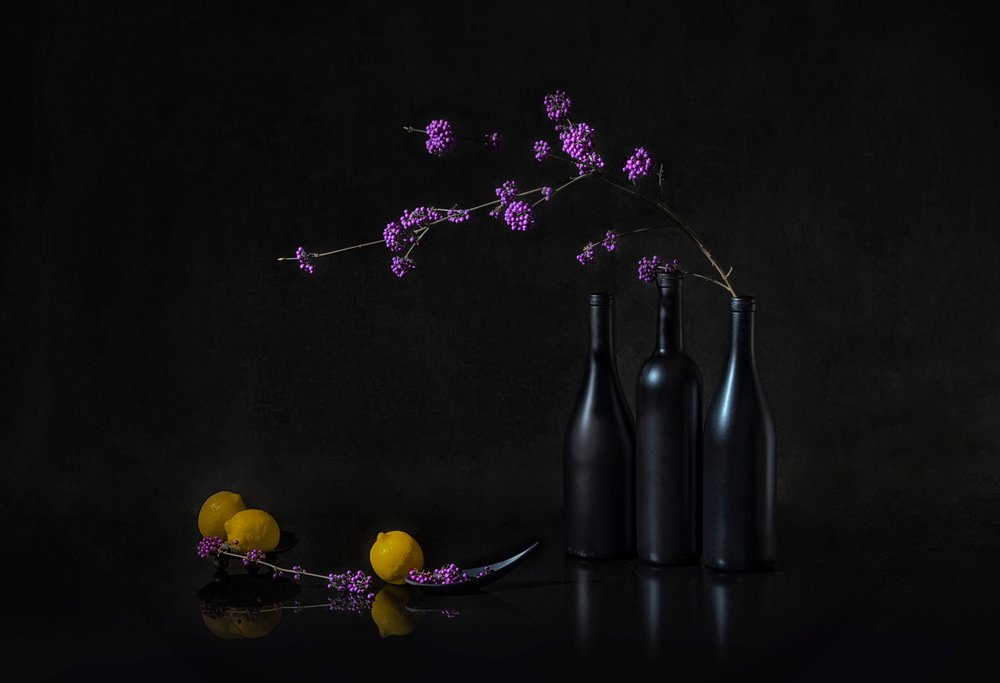Naturaleza muerta oscura con bayas moradas de Lydia Jacobs
