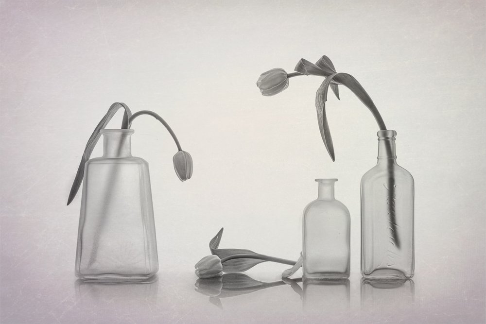 Naturaleza muerta tranquila con tulipanes de Lydia Jacobs