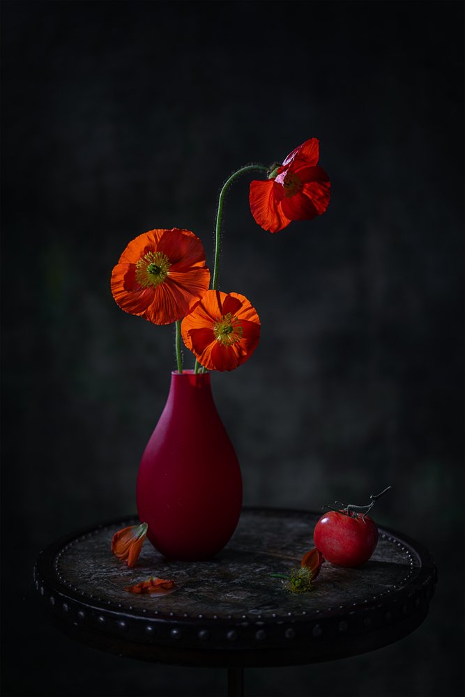 Naturaleza muerta oscura con amapolas rojas de Lydia Jacobs