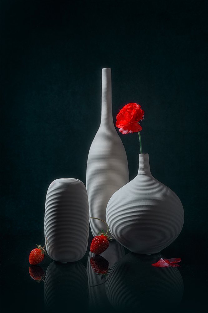 Amapolas rojas y jarrones blancos de Lydia Jacobs