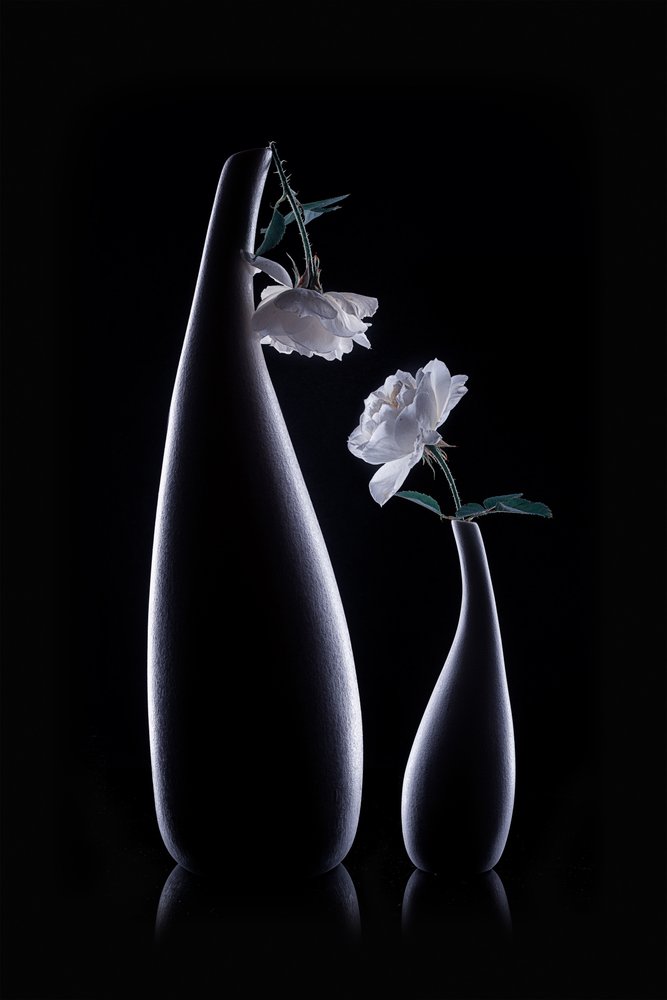 Jarrones «Shadow» con rosas blancas de Lydia Jacobs