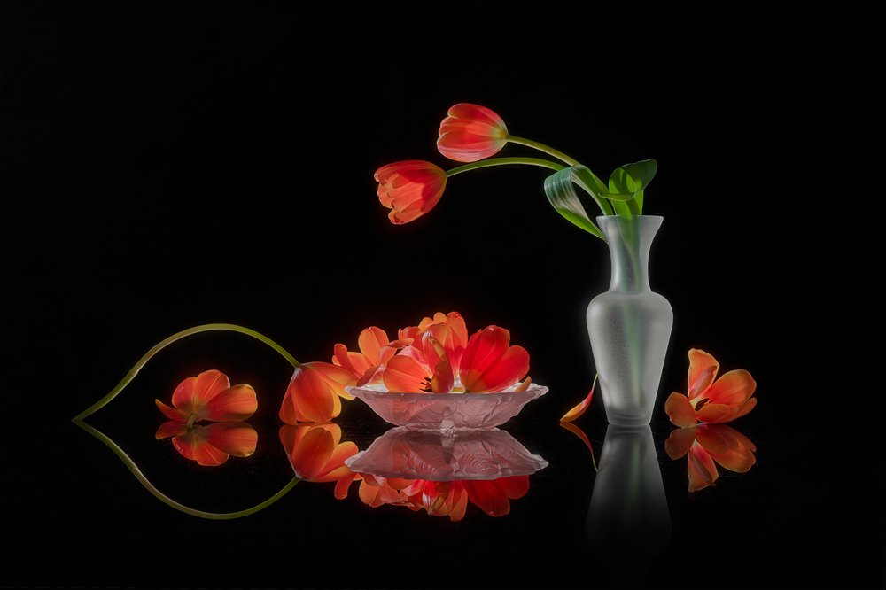 Naturaleza muerta con tulipanes de colores vivos de Lydia Jacobs