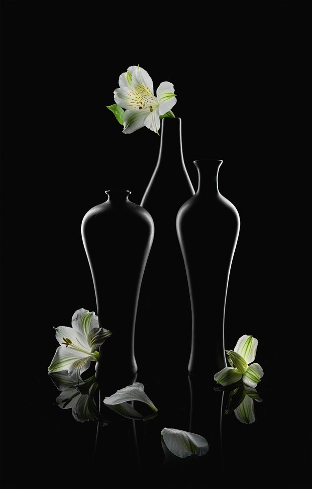 Flores blancas, jarrones oscuros de Lydia Jacobs