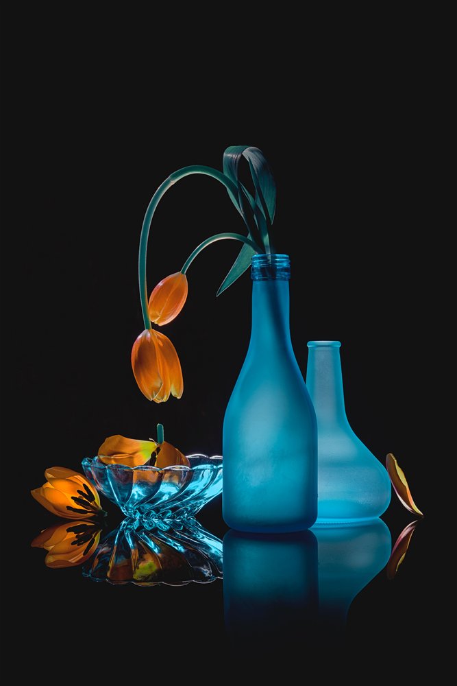 Naturaleza muerta con tulipanes marchitos de Lydia Jacobs