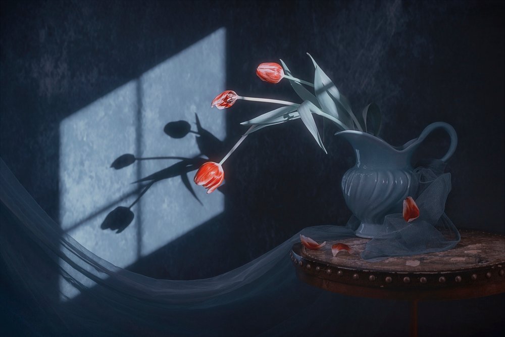 Tulipanes de la luz de la ventana de Lydia Jacobs