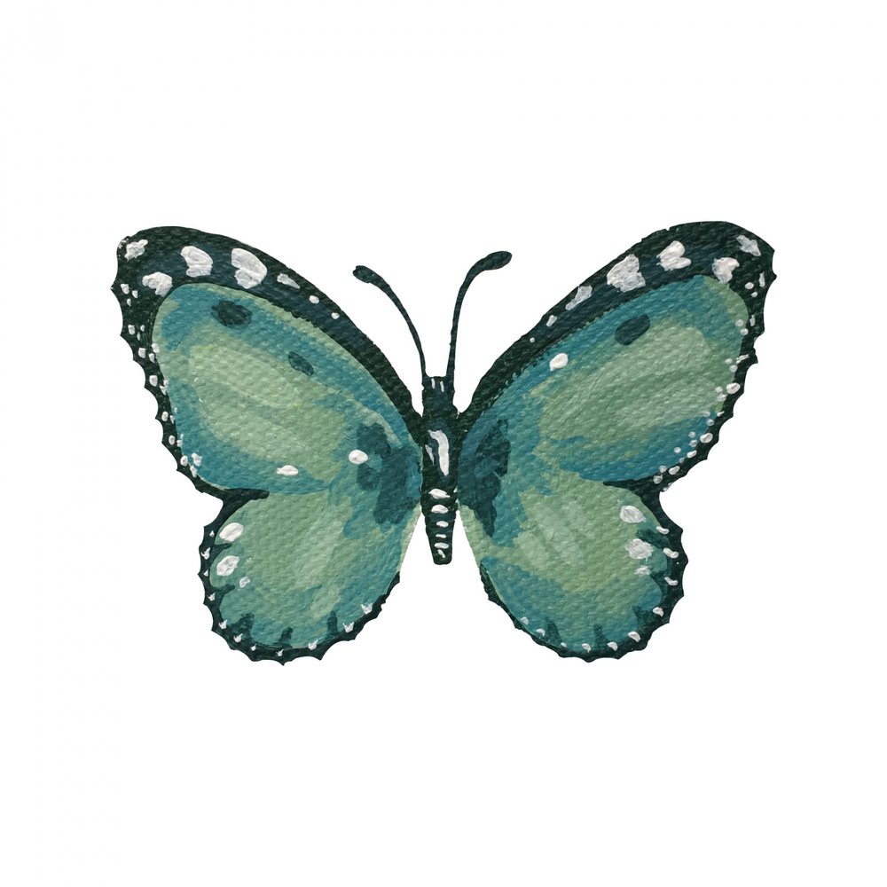 Elegante mariposa verde azulada de Madison Phipps