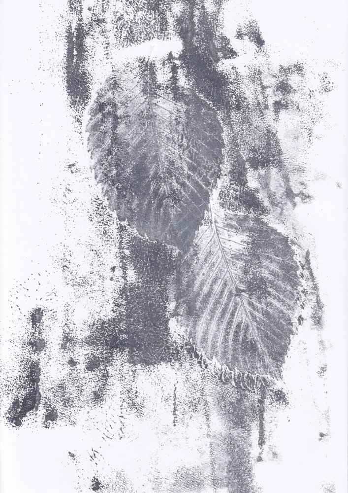 Texturas abstractas de hojas de Maira Ribena