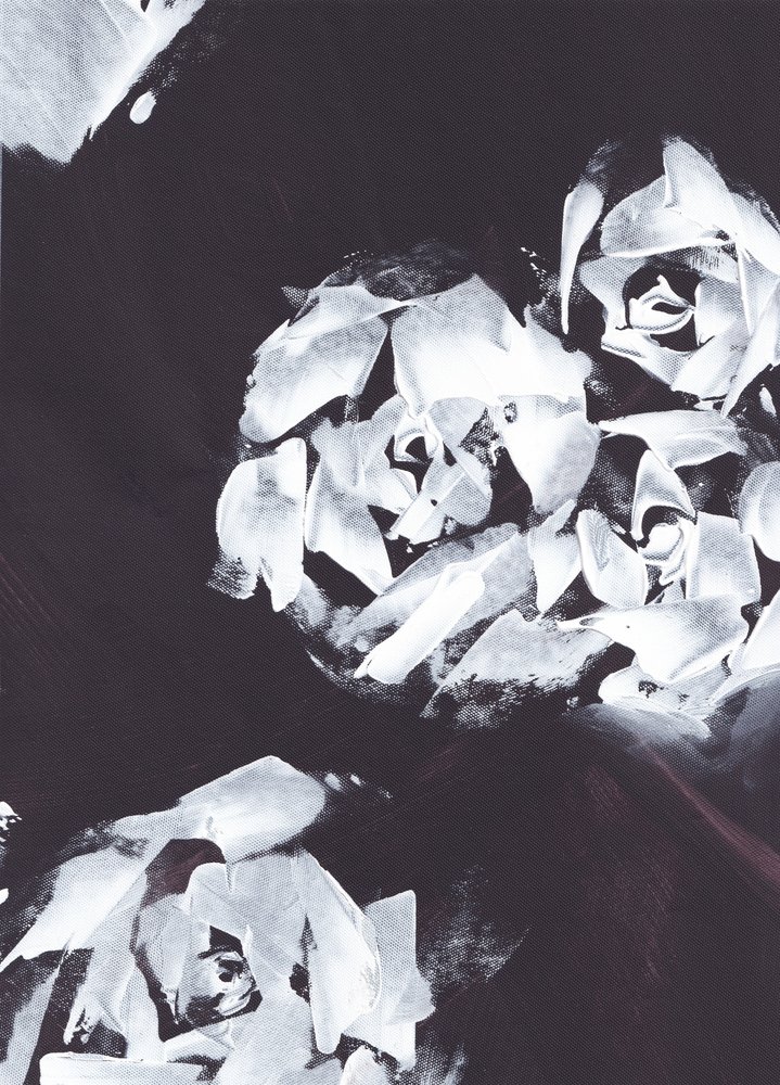 Estampado floral blanco abstracto de Maira Ribena
