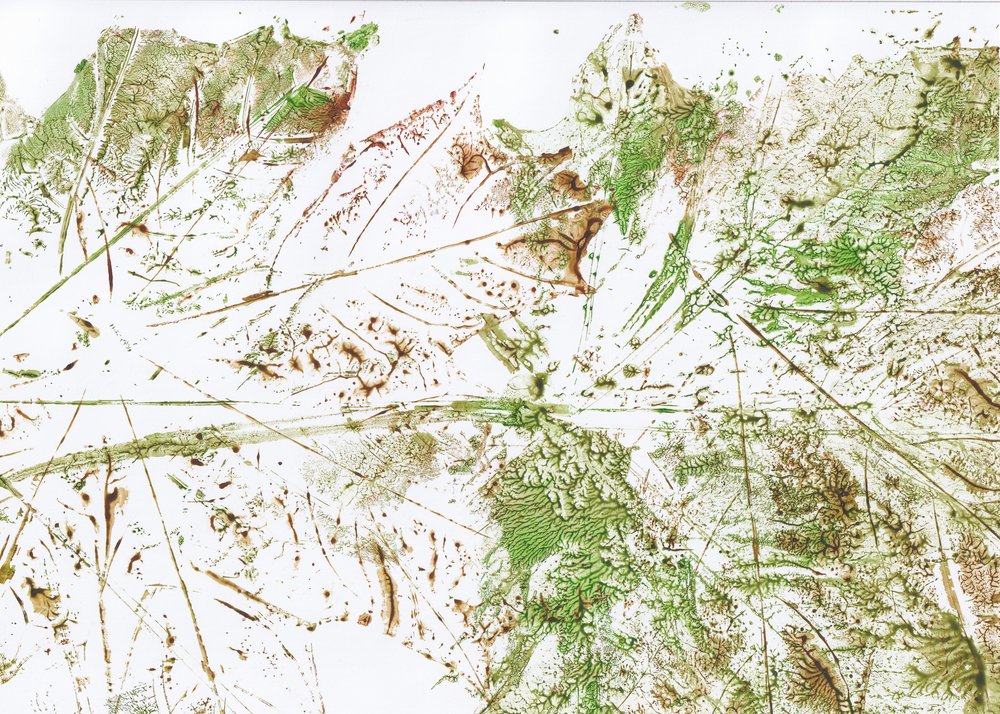 Hoja abstracta de Maira Ribena