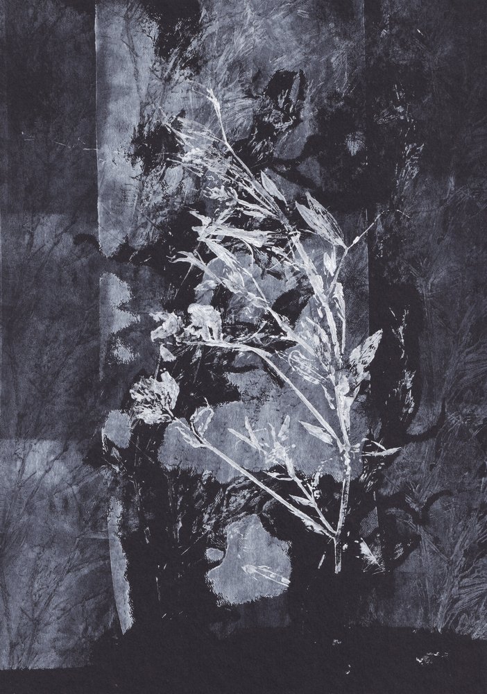 Negro  Naturaleza de Maira Ribena