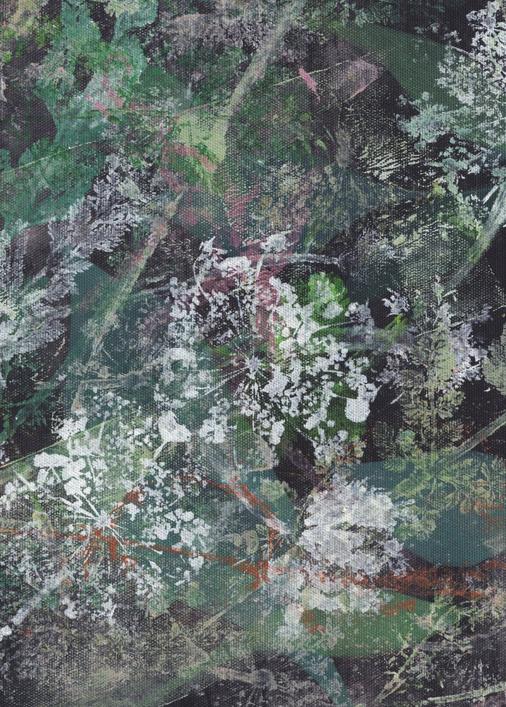 Abstracto floral oscuro de Maira Ribena