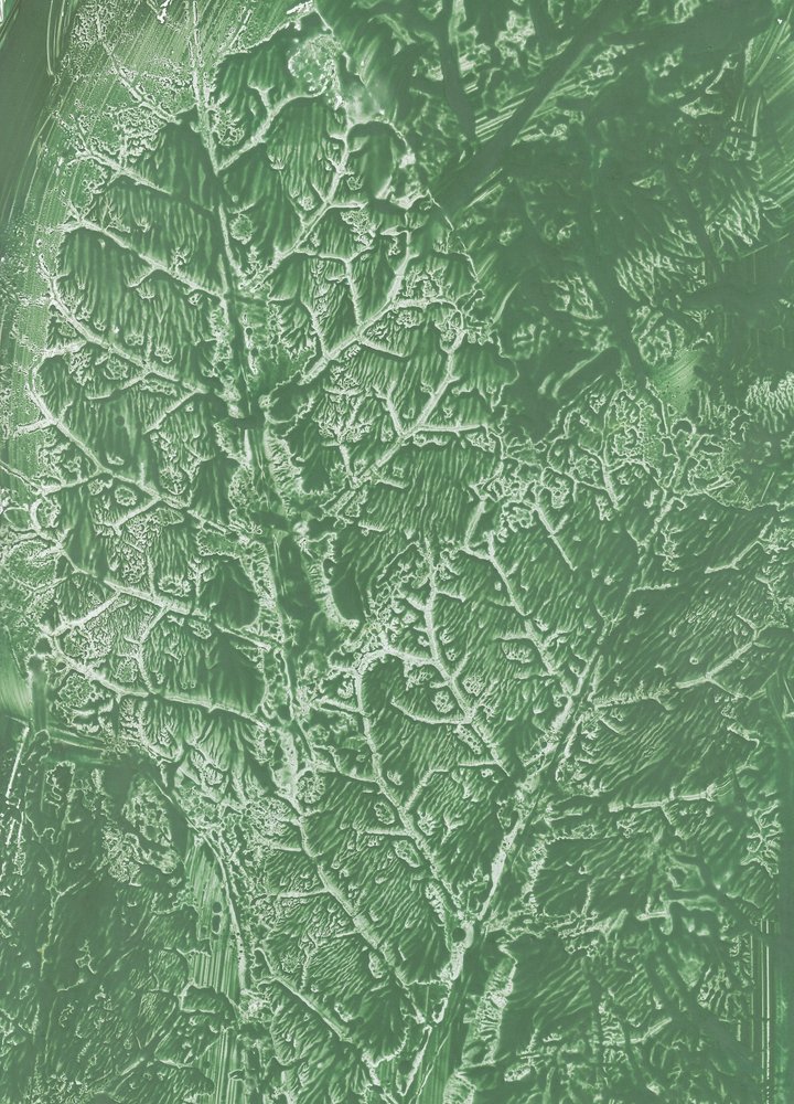 Textura de hoja verde intenso de Maira Ribena
