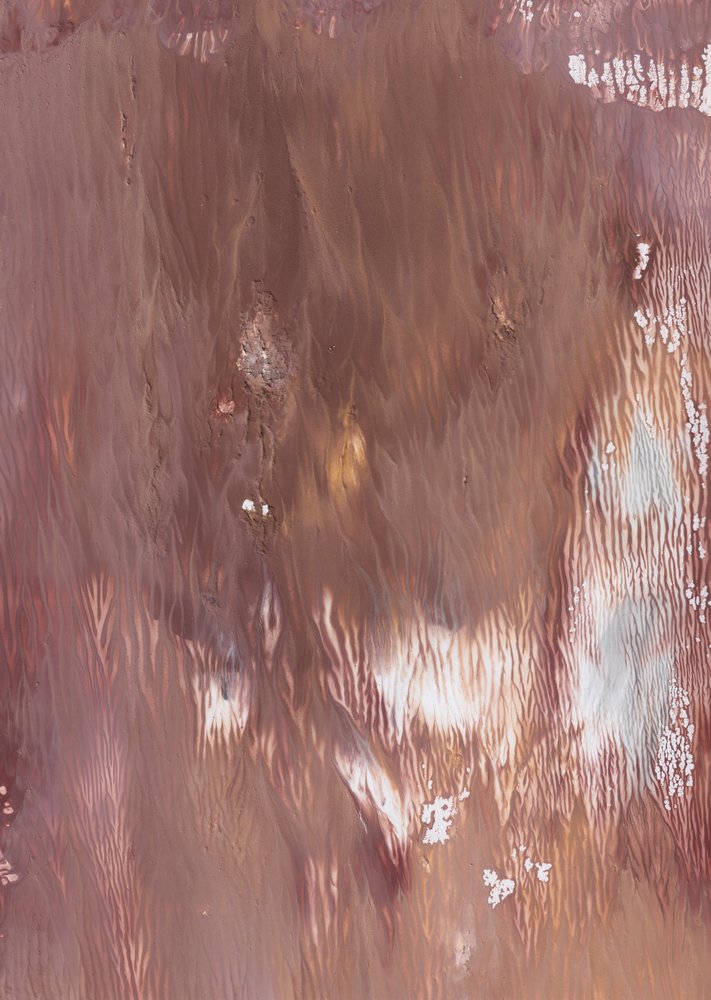 Abstracto fluido y terroso de Maira Ribena