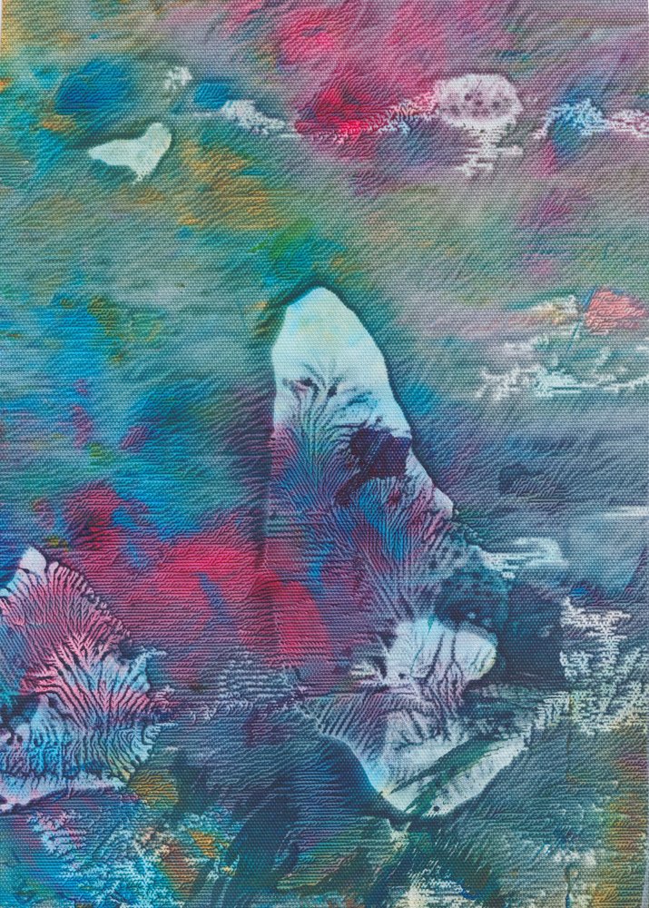 Colores abstractos fluidos de Maira Ribena