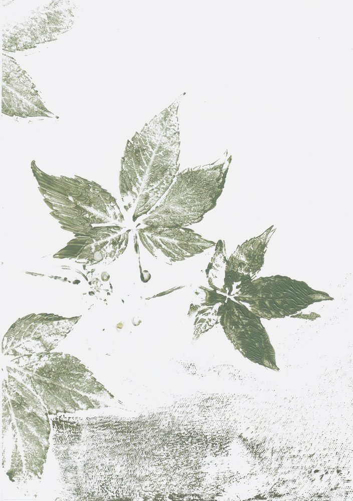 Impresiones de hoja verde de Maira Ribena