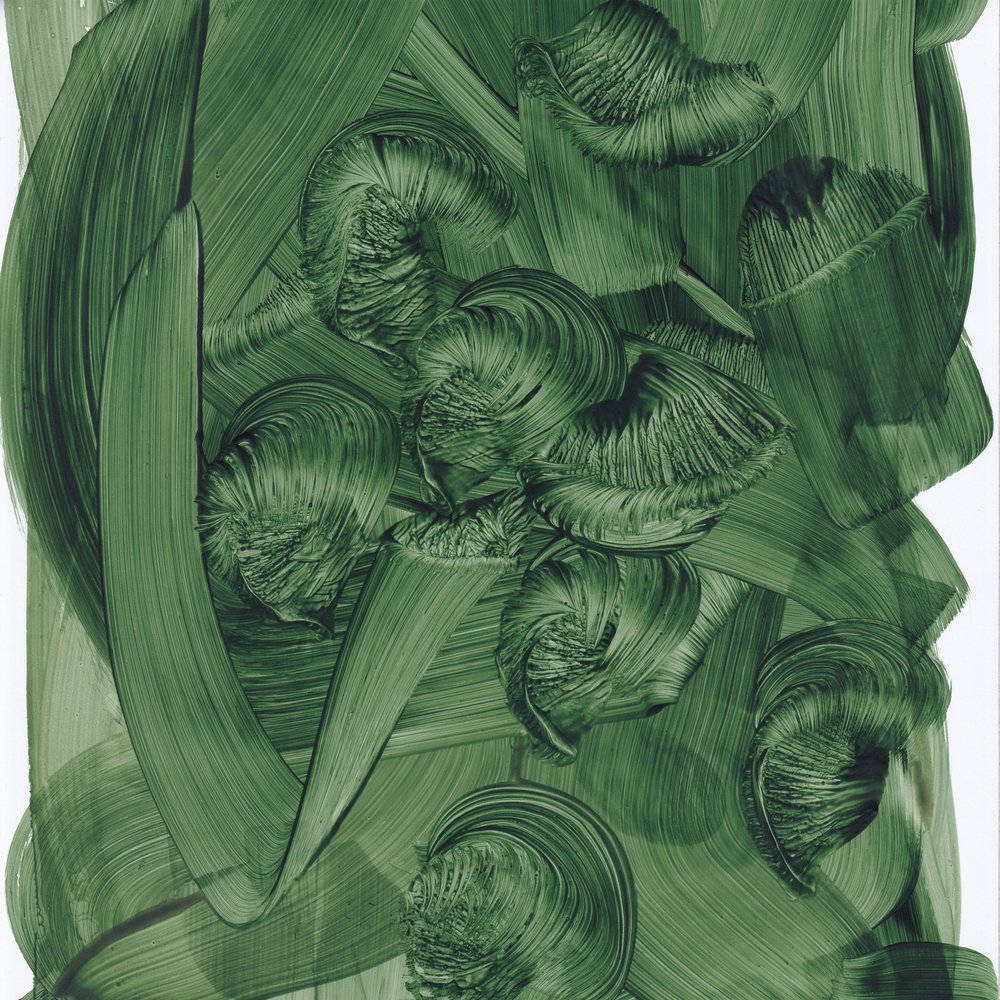 Espirales de un verde intenso de Maira Ribena