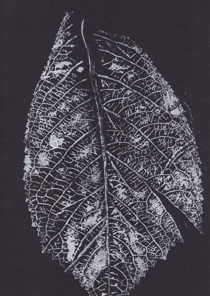 Diseño de hojas en blanco y negro de Maira Ribena