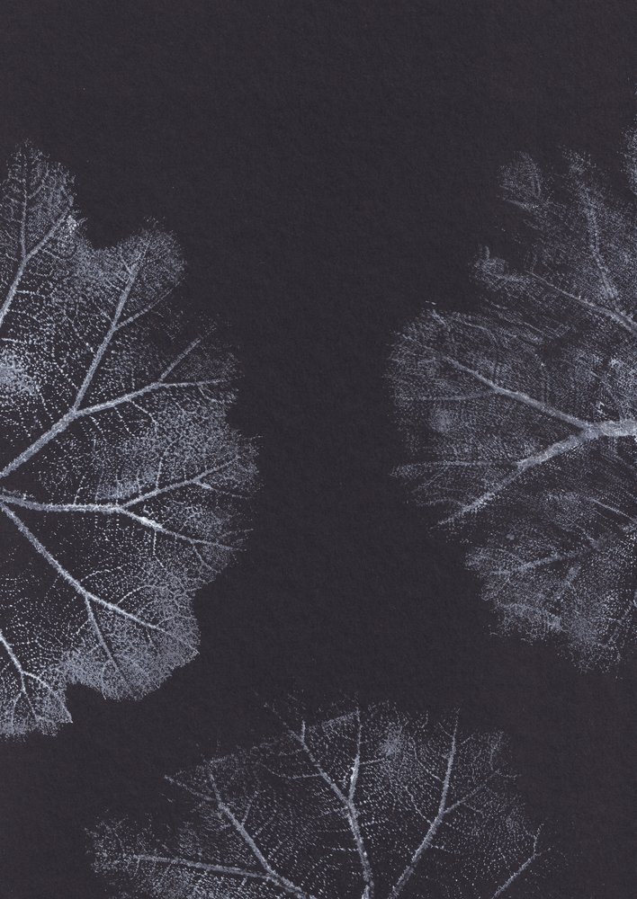 Texturas de hojas en blanco y negro de Maira Ribena