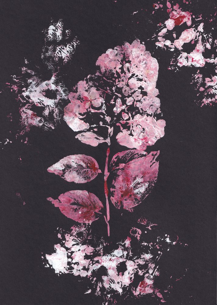 Impresión botánica en rosa de Maira Ribena