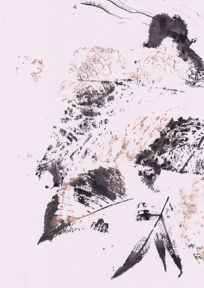 Hojas de tinta serenas de Maira Ribena