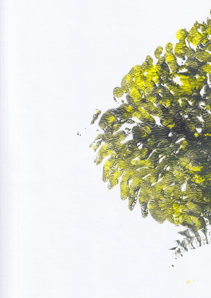 Textura verde intenso de Maira Ribena