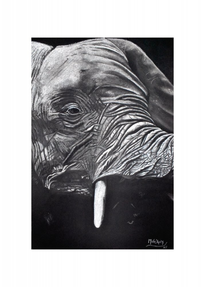 Retrato de un elefante majestuoso de Marchelle de Kock